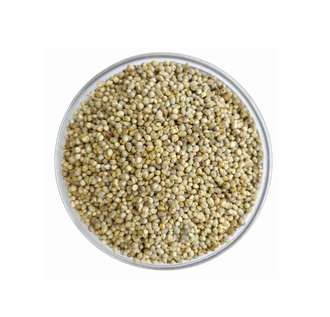 Bajra Millet